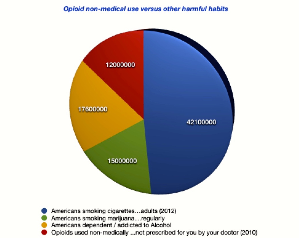 mypainwebopioidchart5jpeg