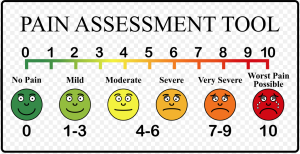 mypainwebpainscale