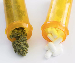 MPW Cannabis & Opioids